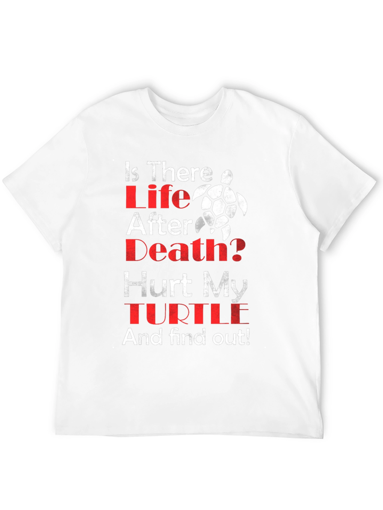 Is There Life After Death Turtle T-Shirt