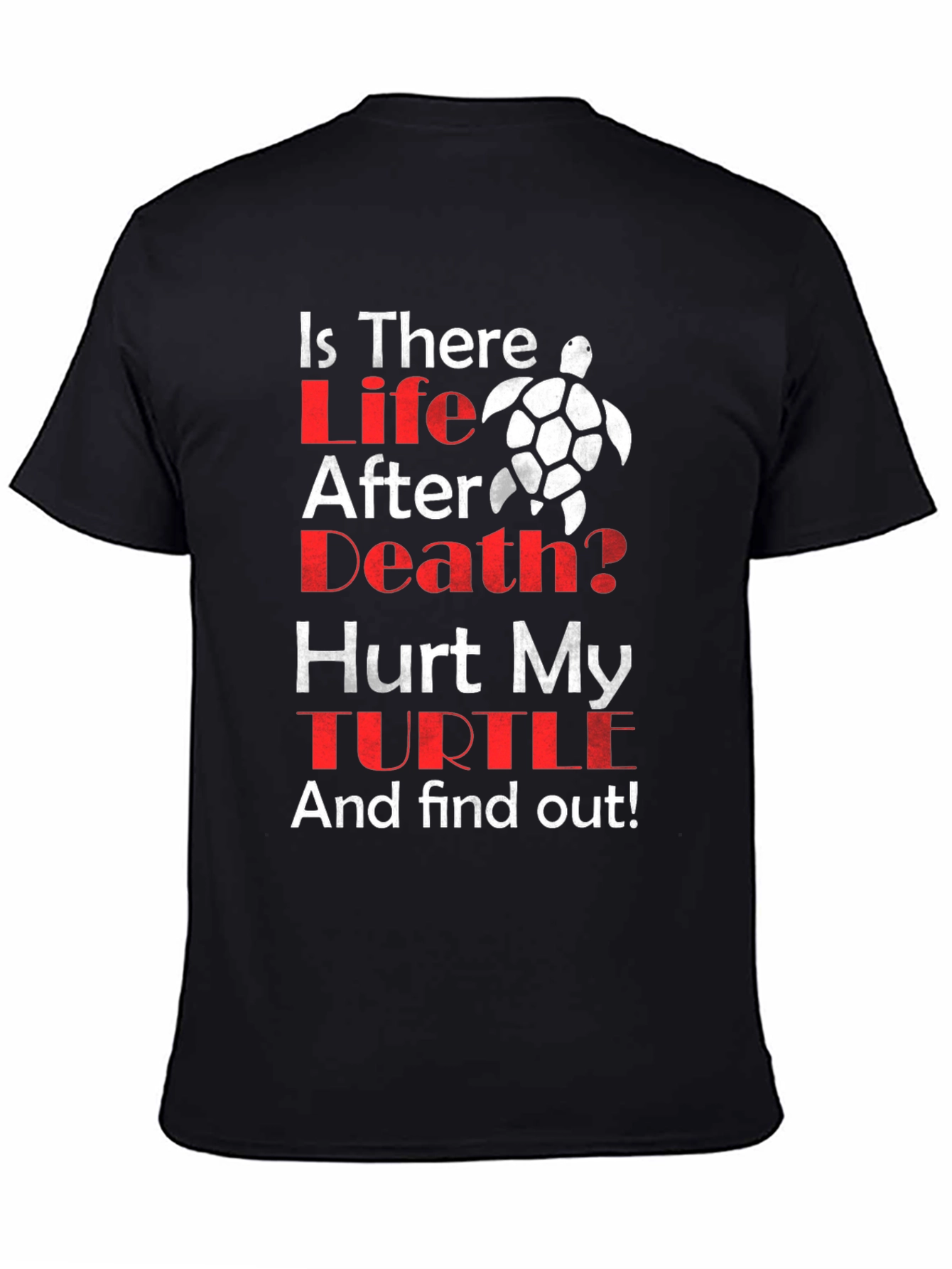 Is There Life After Death Turtle T-Shirt