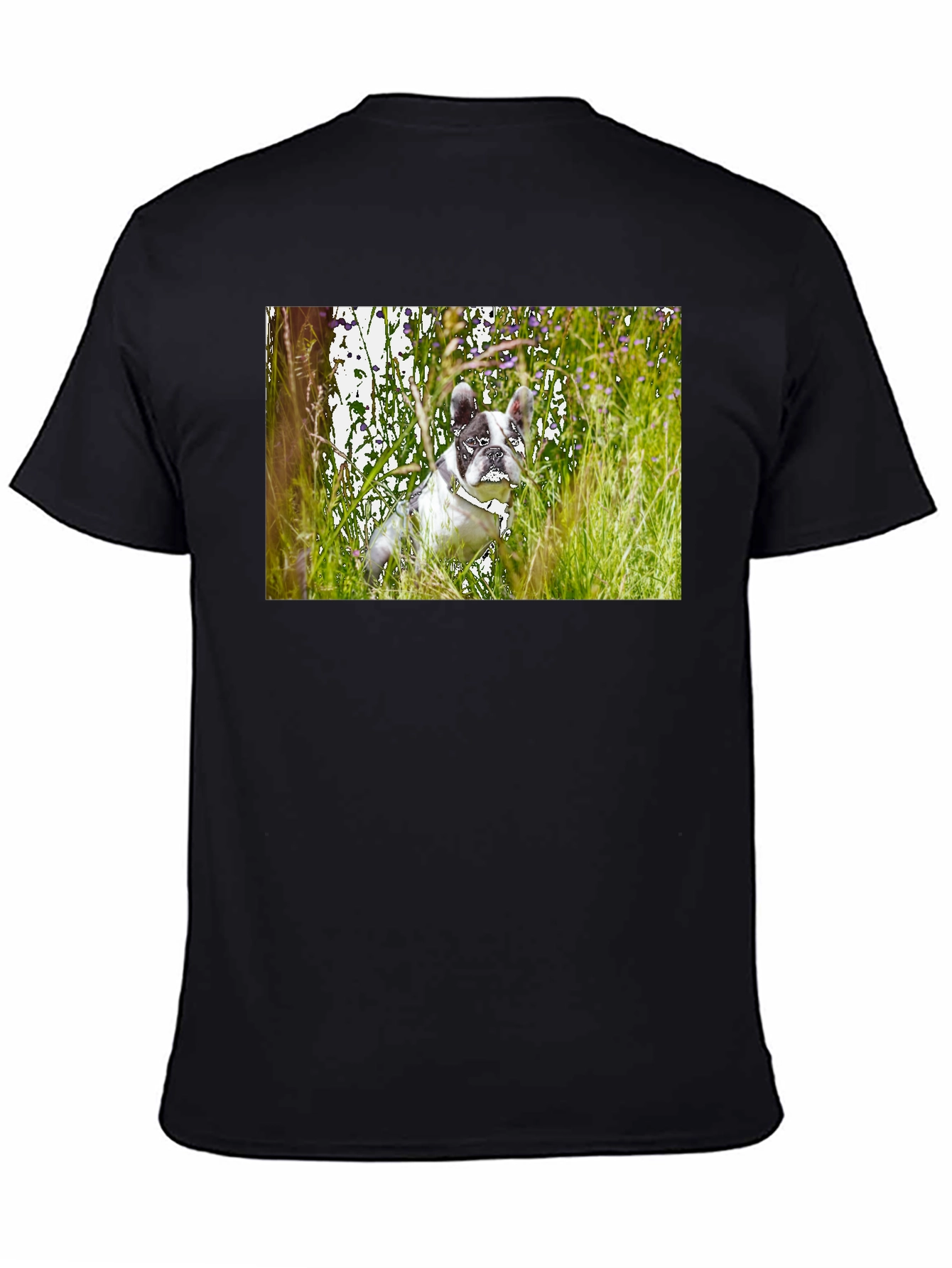 Dog T-Shirt - Black Short Sleeve Graphic Tee
