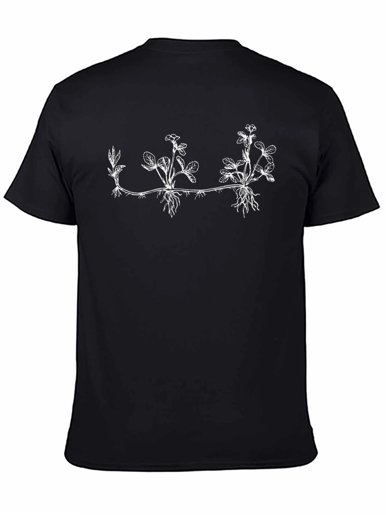 Botanical Graphic Tee - Black Cotton Blend