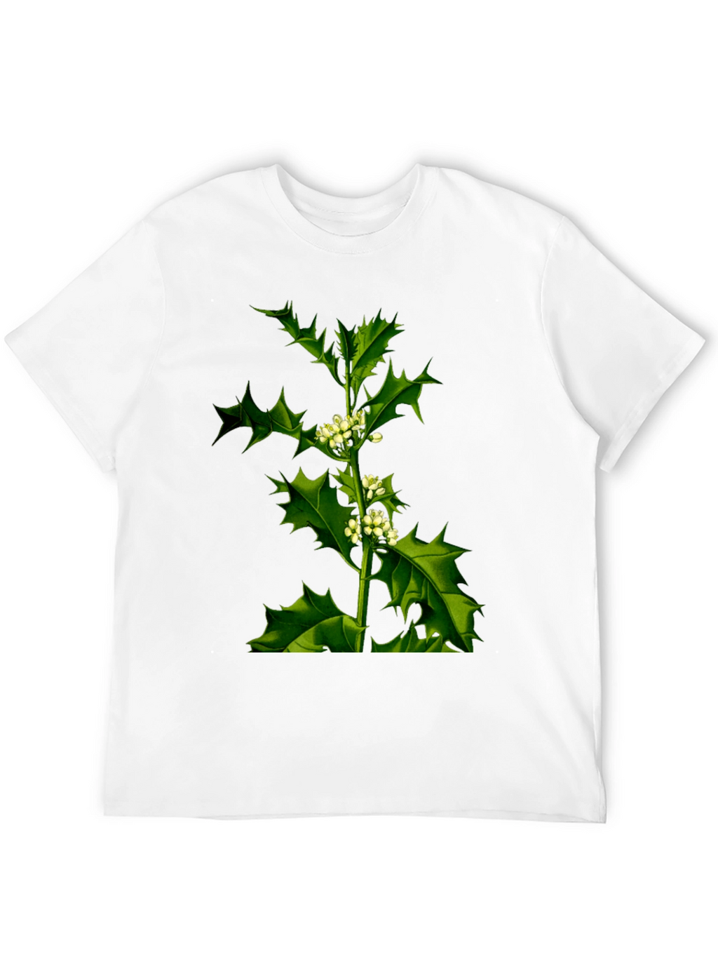 Botanical Holly Print Black T-Shirt