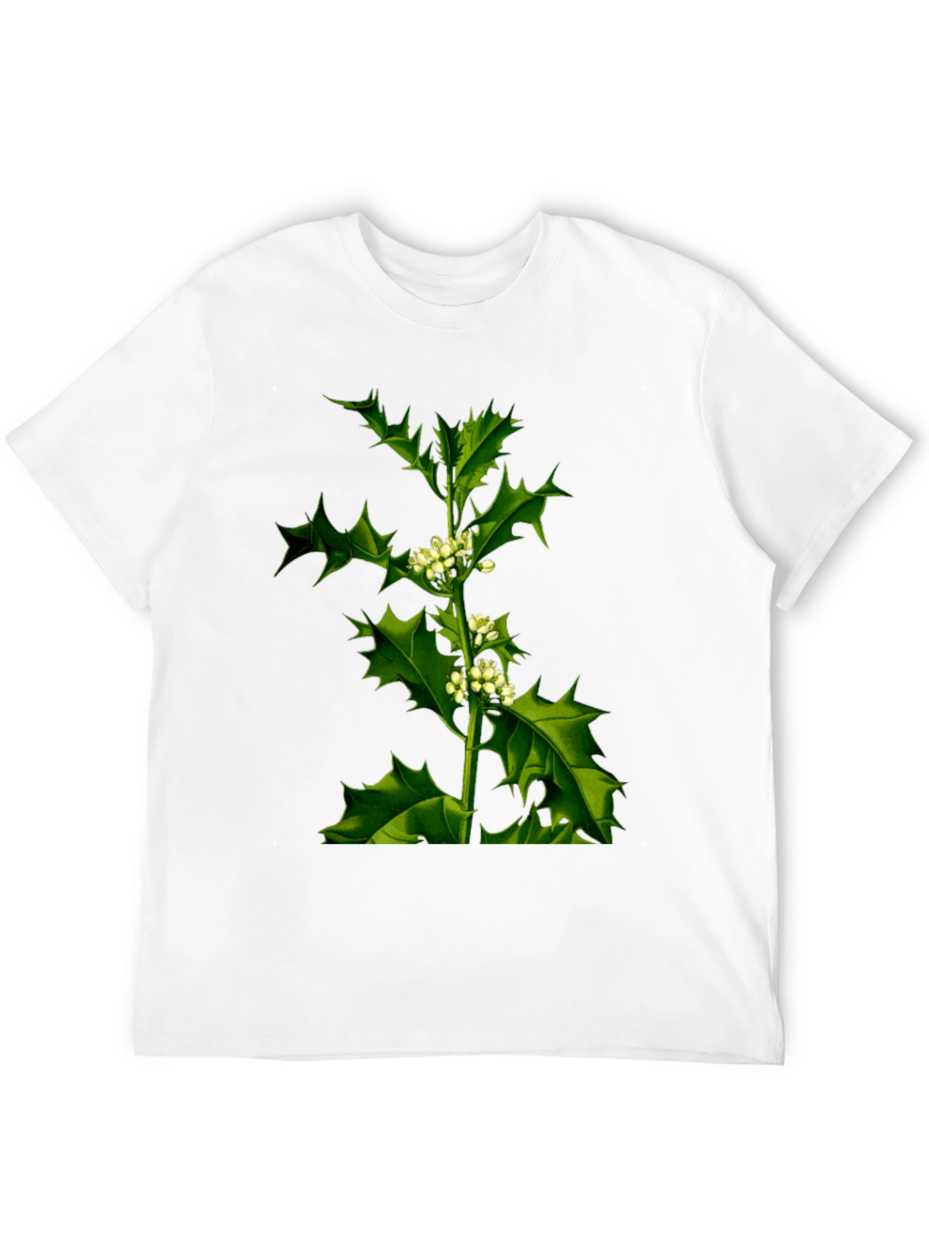 Botanical Holly Print Black T-Shirt