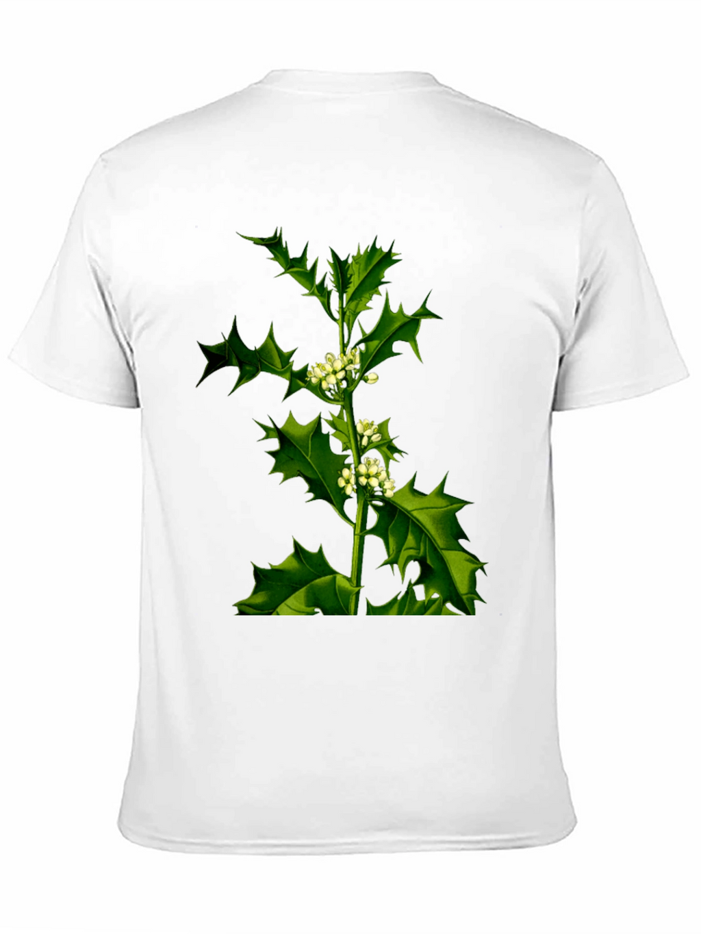 Botanical Holly Print Black T-Shirt