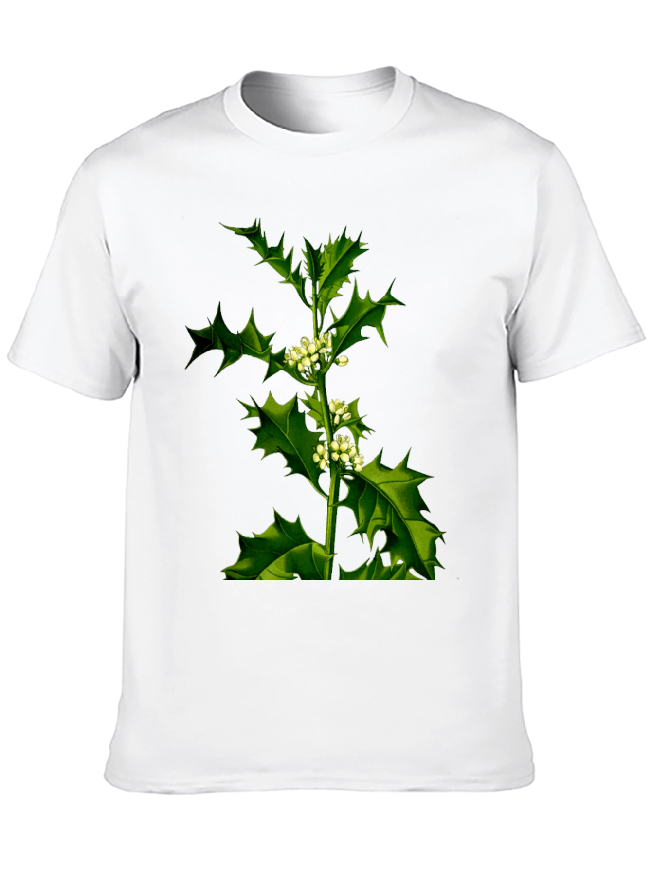 Botanical Holly Print Black T-Shirt