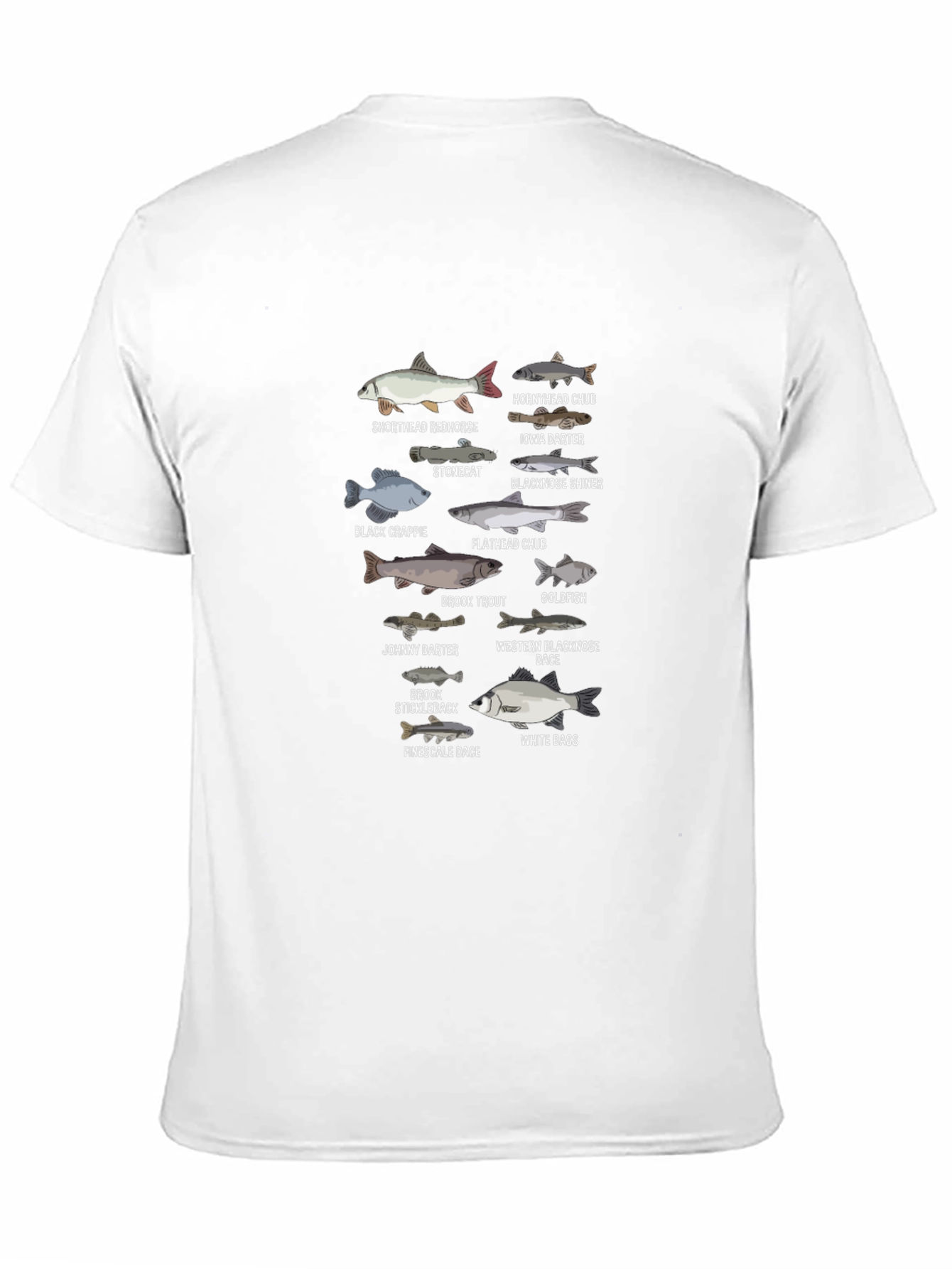 Fish Species T-Shirt