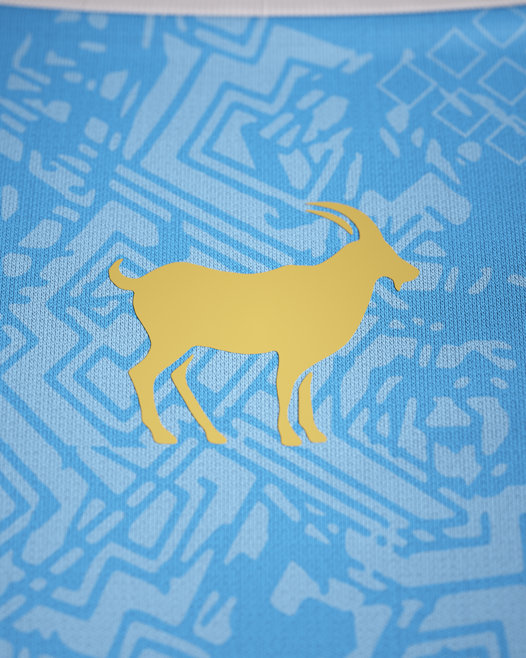 La Pulga Jersey - Blue - Pre-Order (Mid August)