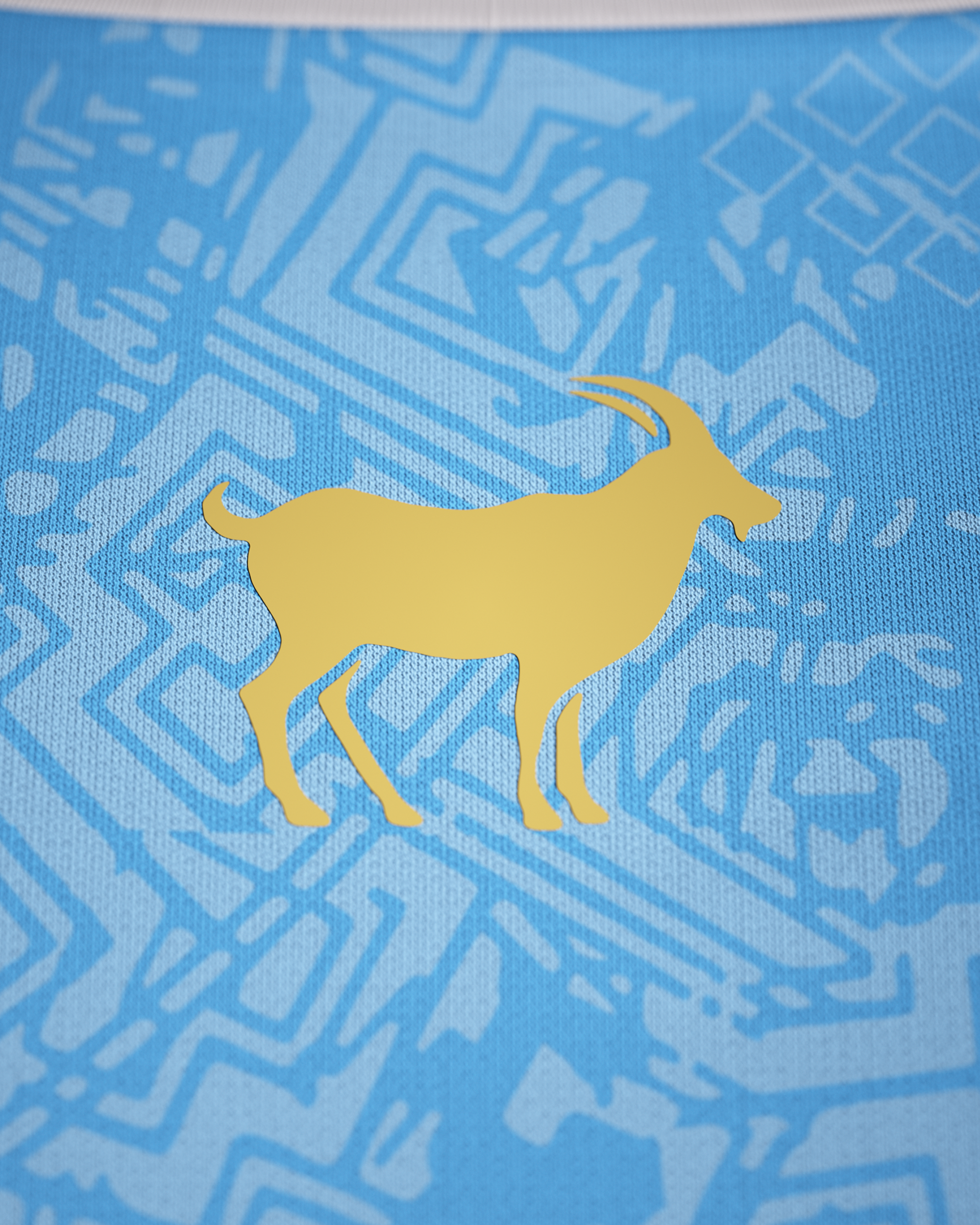 La Pulga Jersey - Blue - Pre-Order (Mid August)