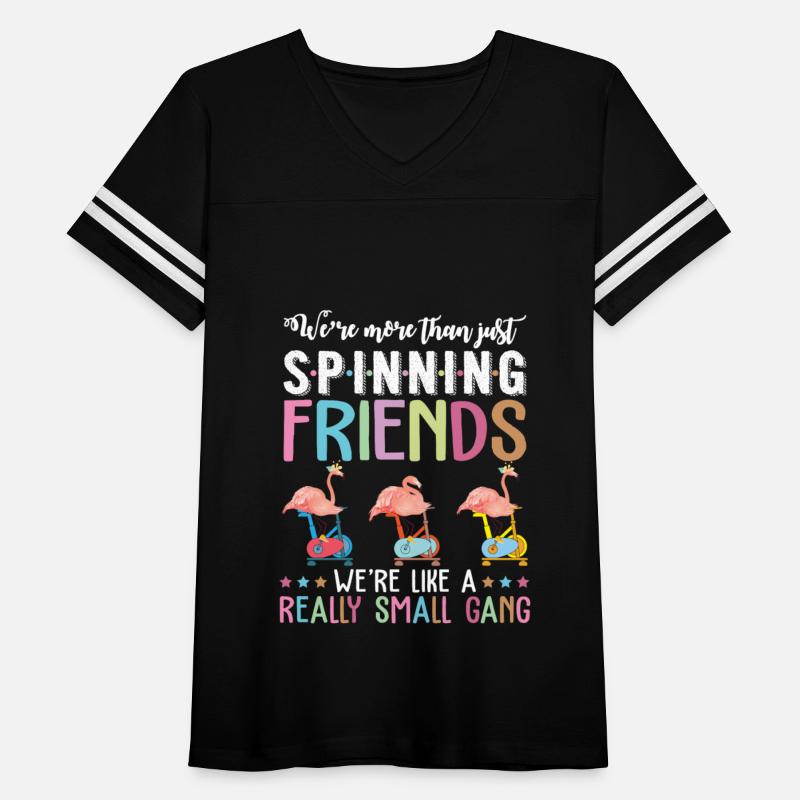 More Than Snpinning Friends Flamingos Cycling