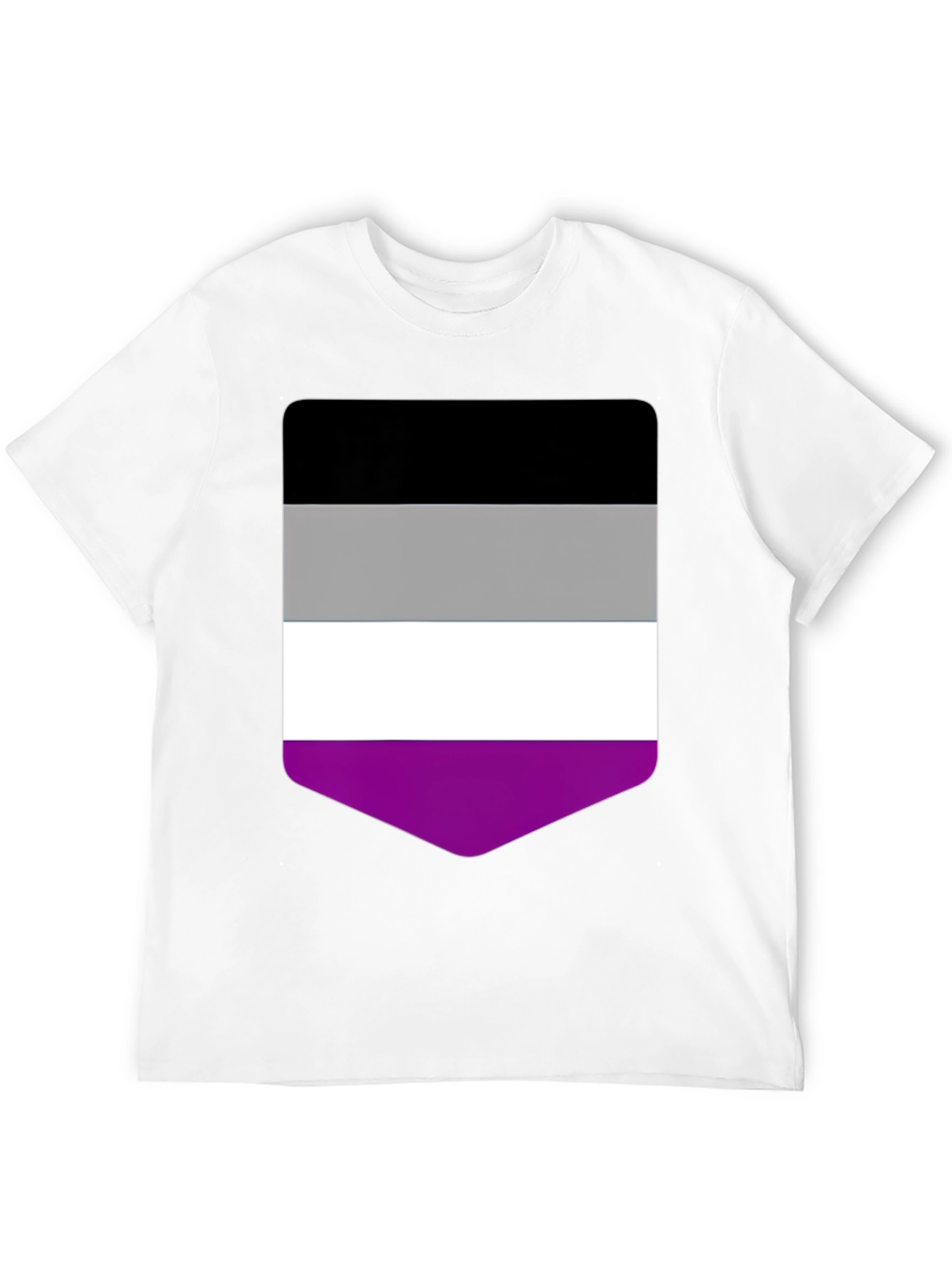 Asexual Pride Flag T-Shirt - Black Crew Neck Tee