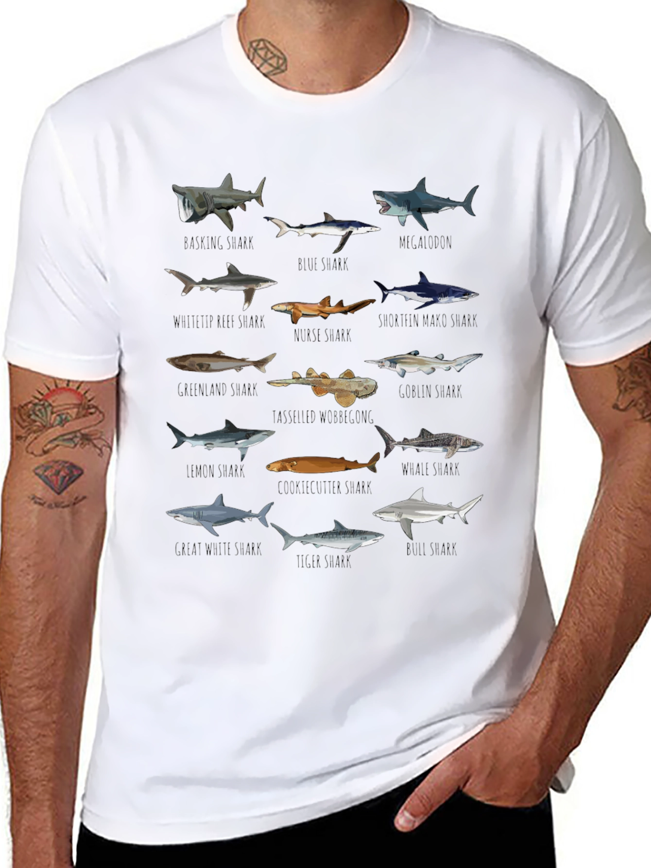 Sharks of the World Graphic Tee