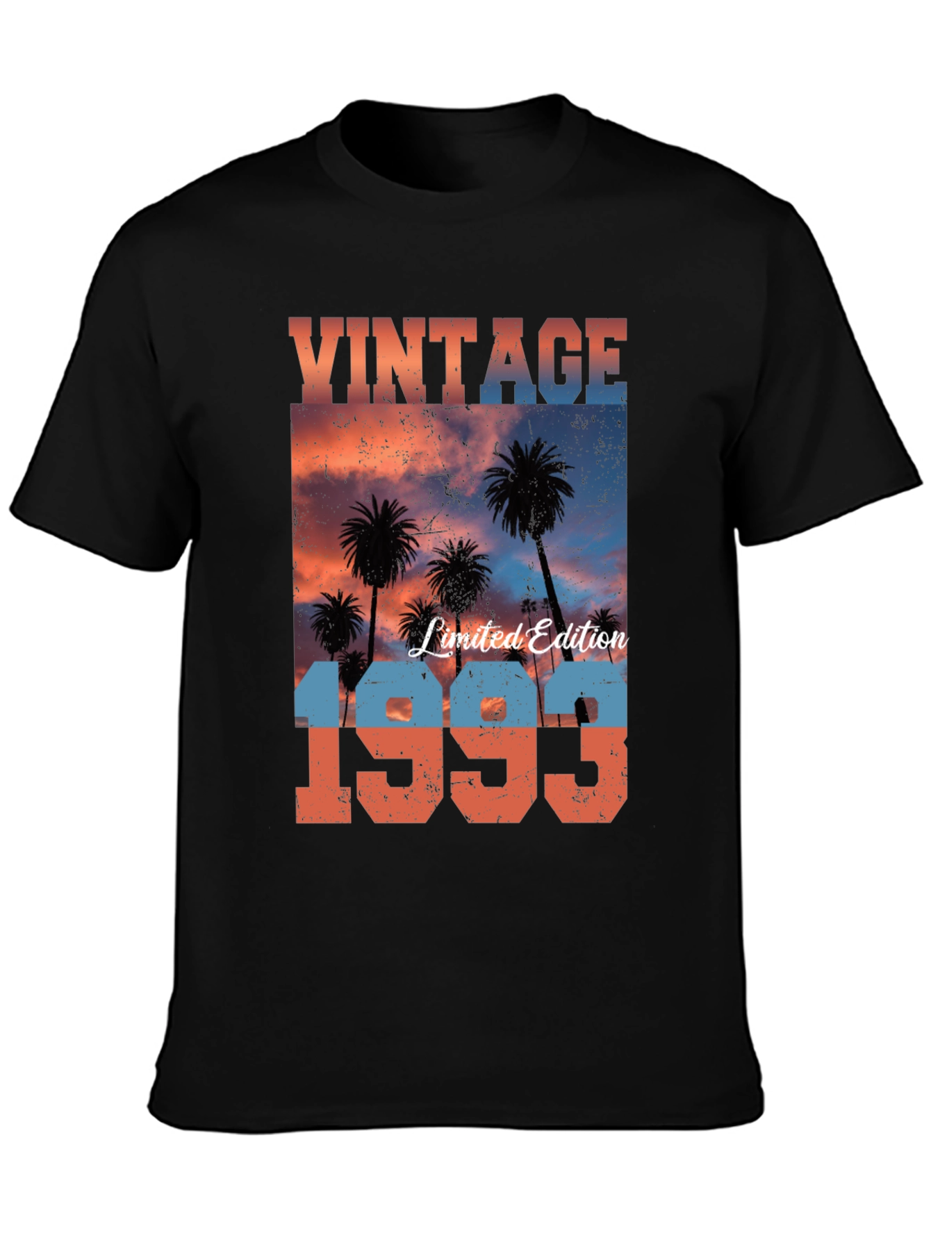 Vintage 1993 Limited Edition Graphic T-Shirt