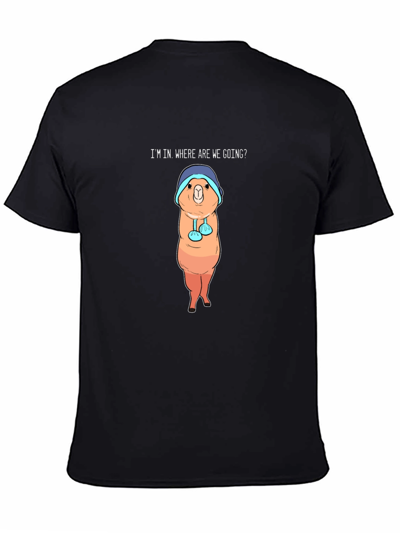 Alpaca Graphic Tee - Im In Where Are We Going?