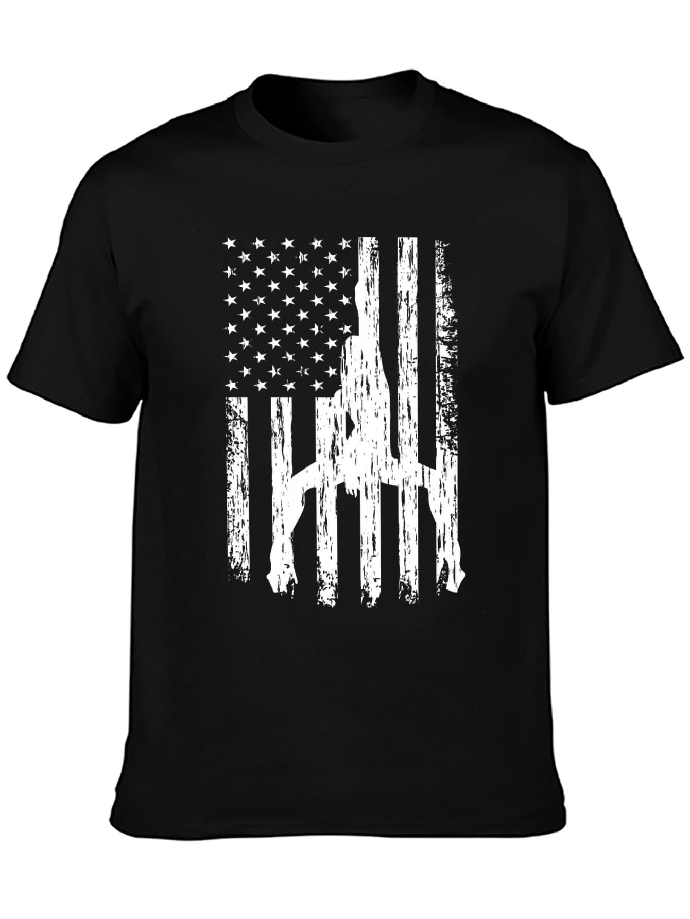 American Flag Gun Rights Graphic T-Shirt