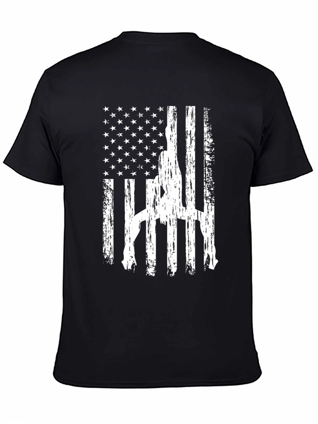 American Flag Gun Rights Graphic T-Shirt