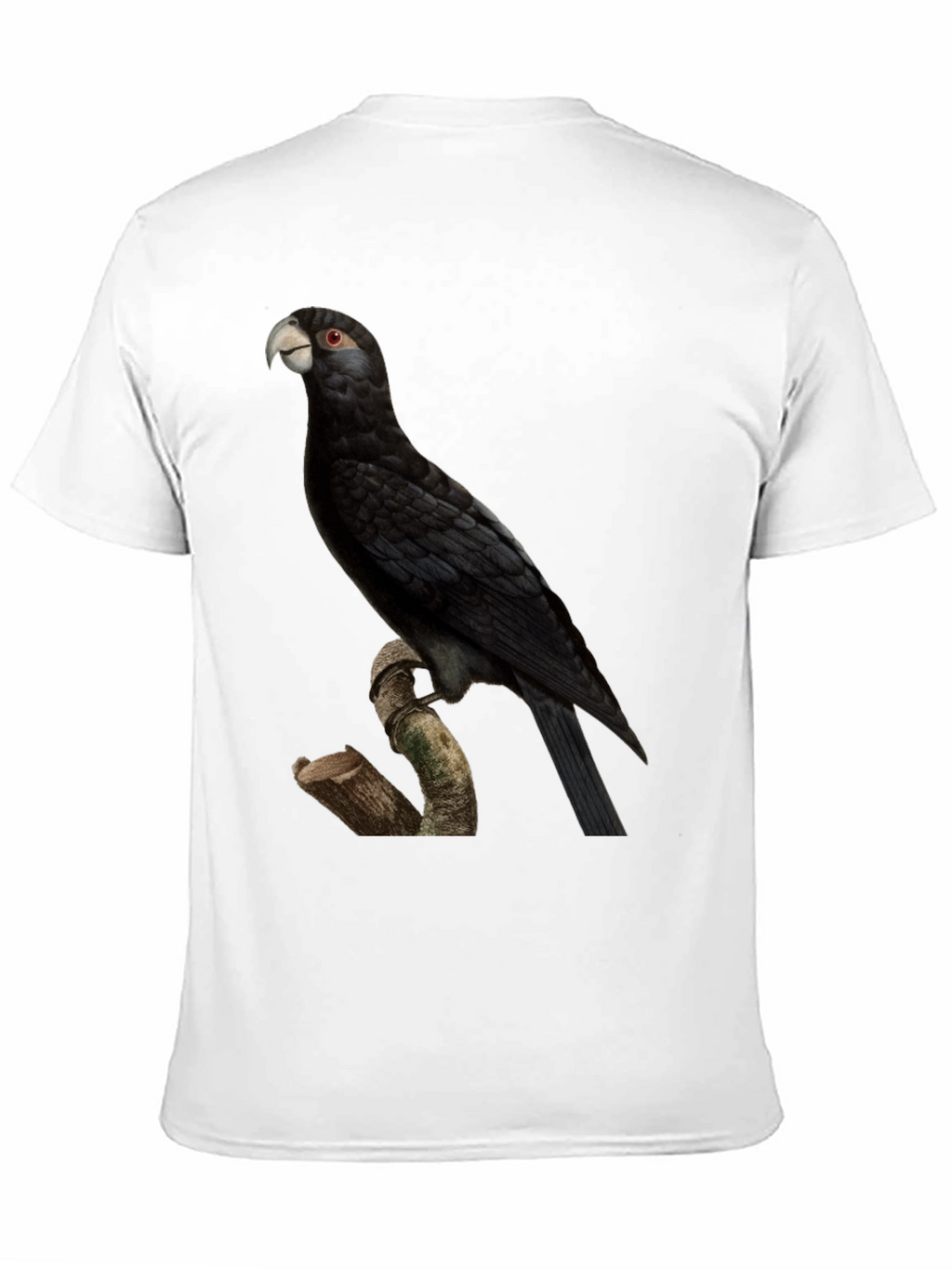 Black Palm Cockatoo Graphic T-Shirt