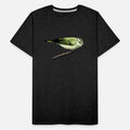 Red Eyed Vireo