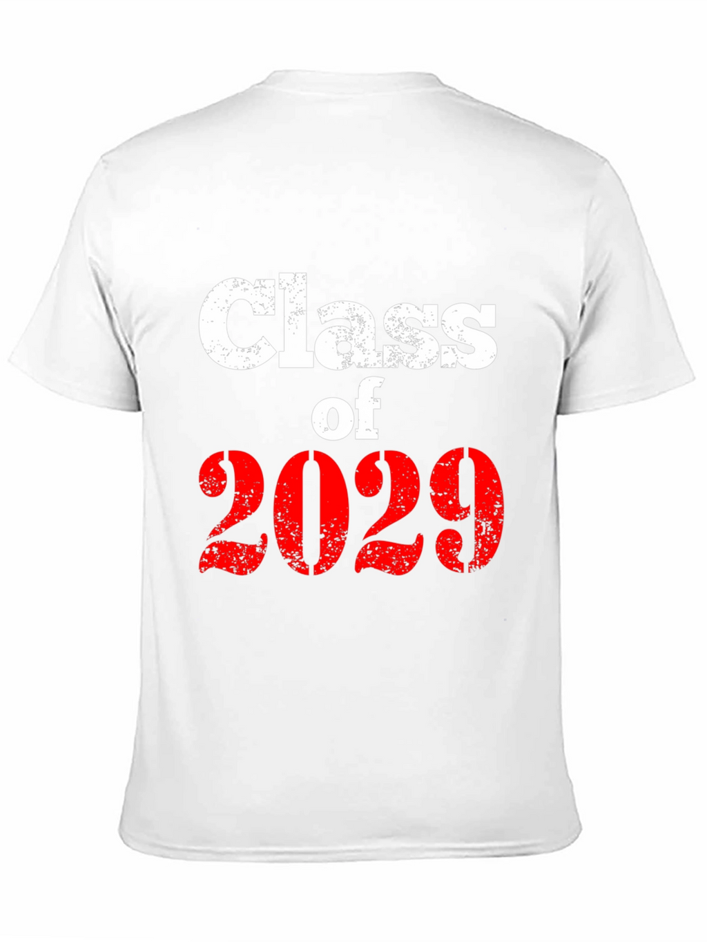 Class of 2029 Graphic T-Shirt