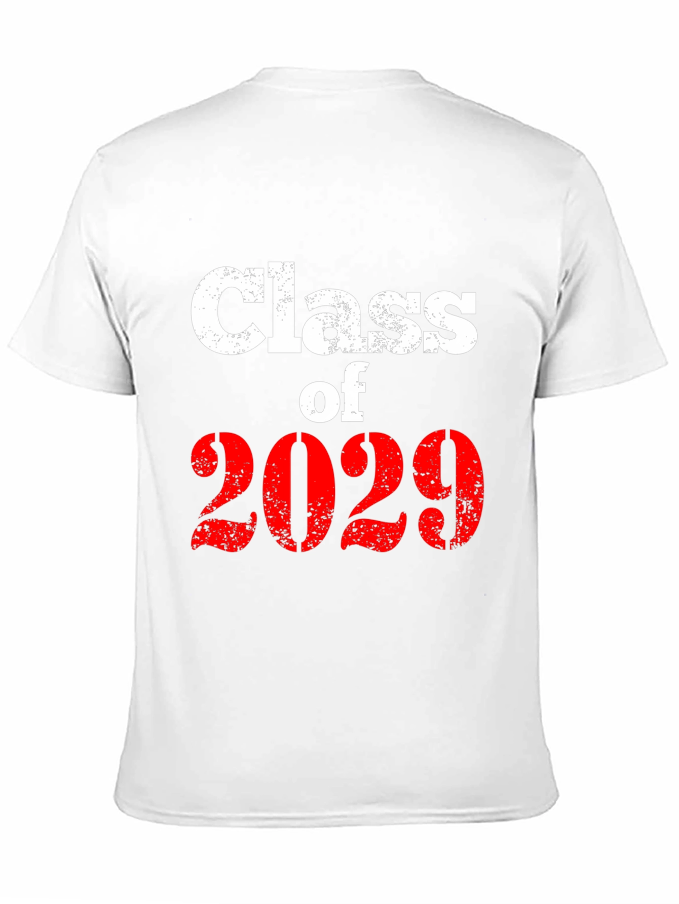 Class of 2029 Graphic T-Shirt