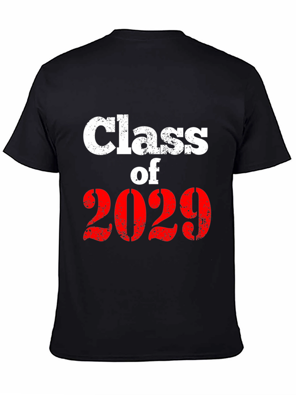 Class of 2029 Graphic T-Shirt