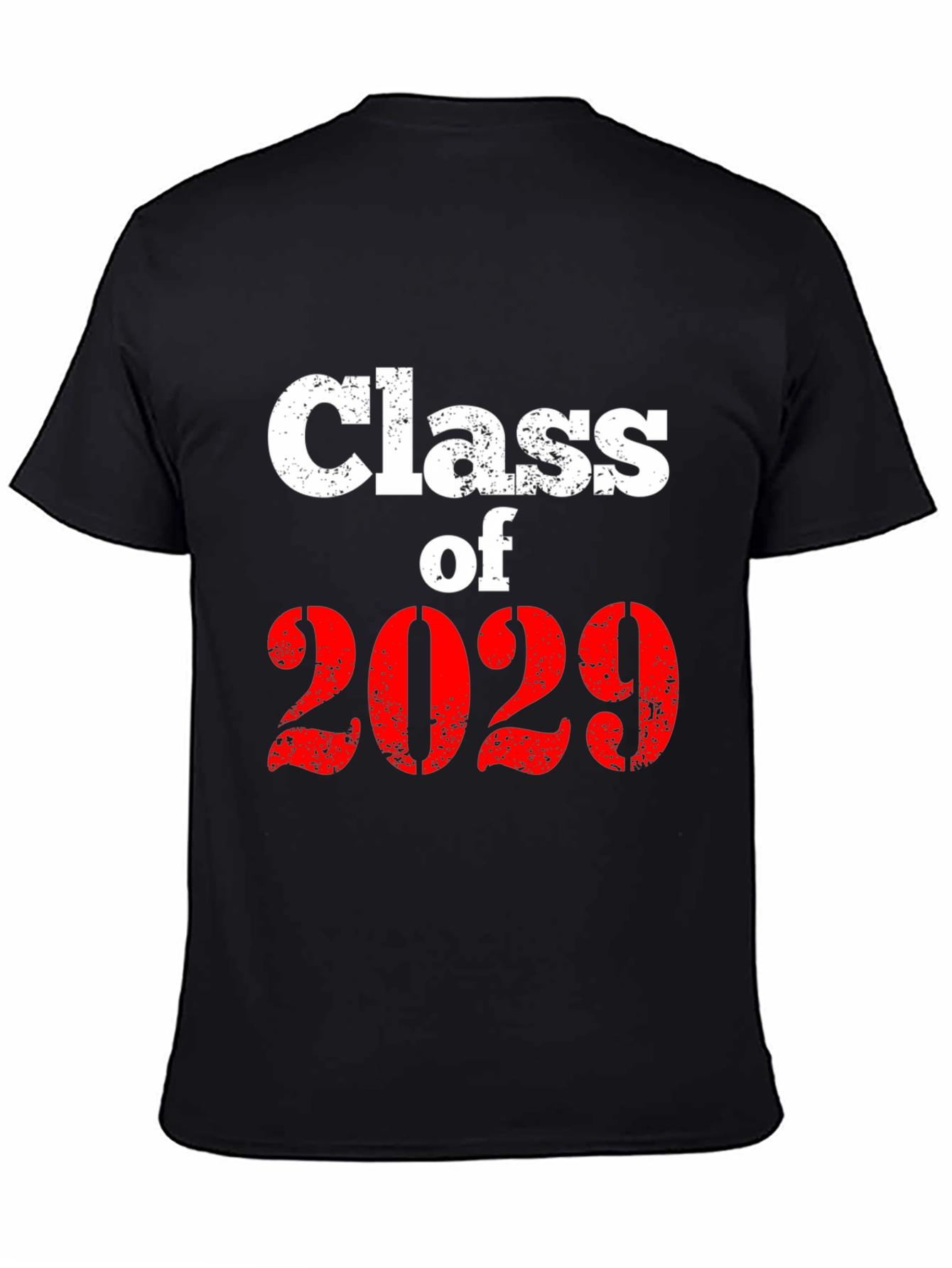Class of 2029 Graphic T-Shirt