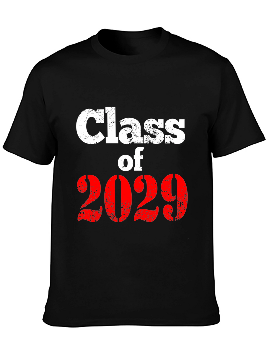 Class of 2029 Graphic T-Shirt