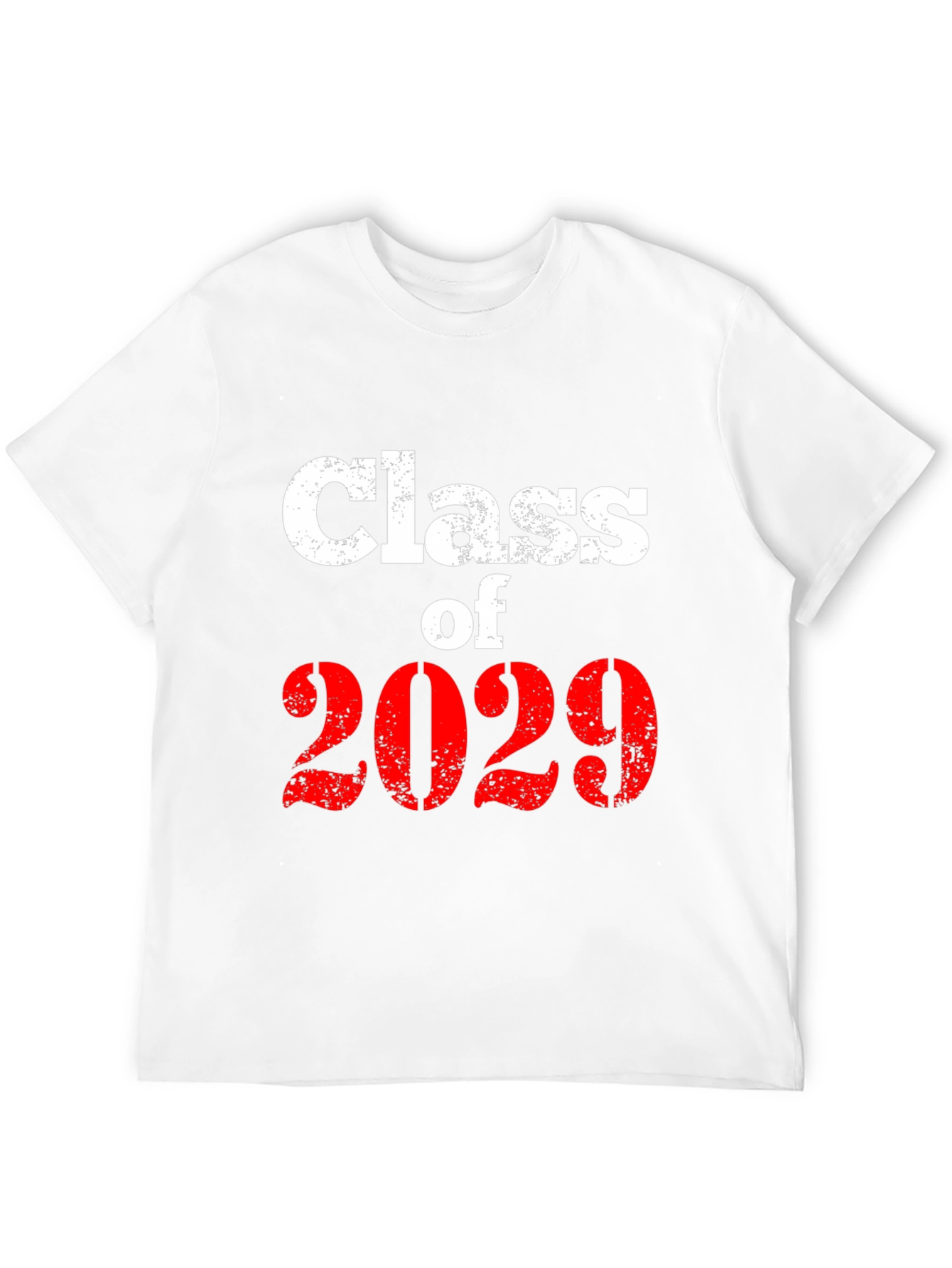Class of 2029 Graphic T-Shirt