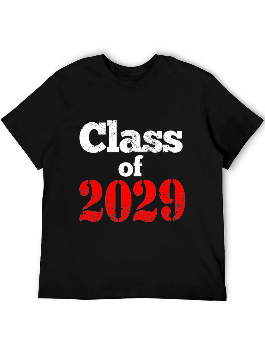 Class of 2029 Graphic T-Shirt