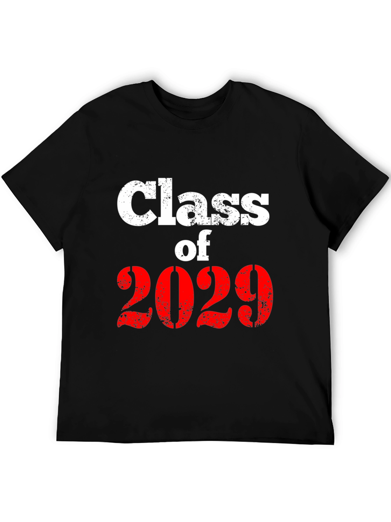 Class of 2029 Graphic T-Shirt