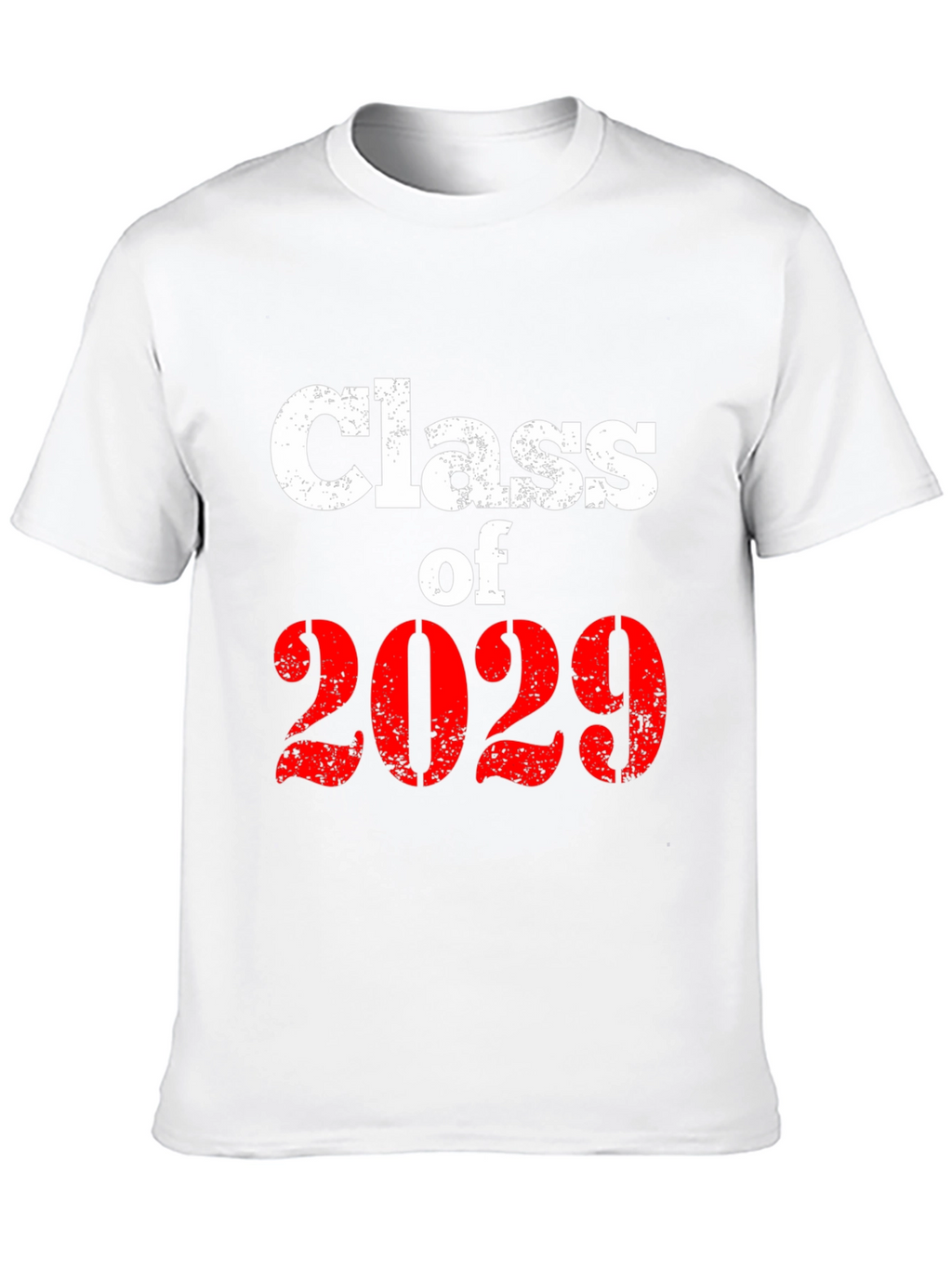 Class of 2029 Graphic T-Shirt