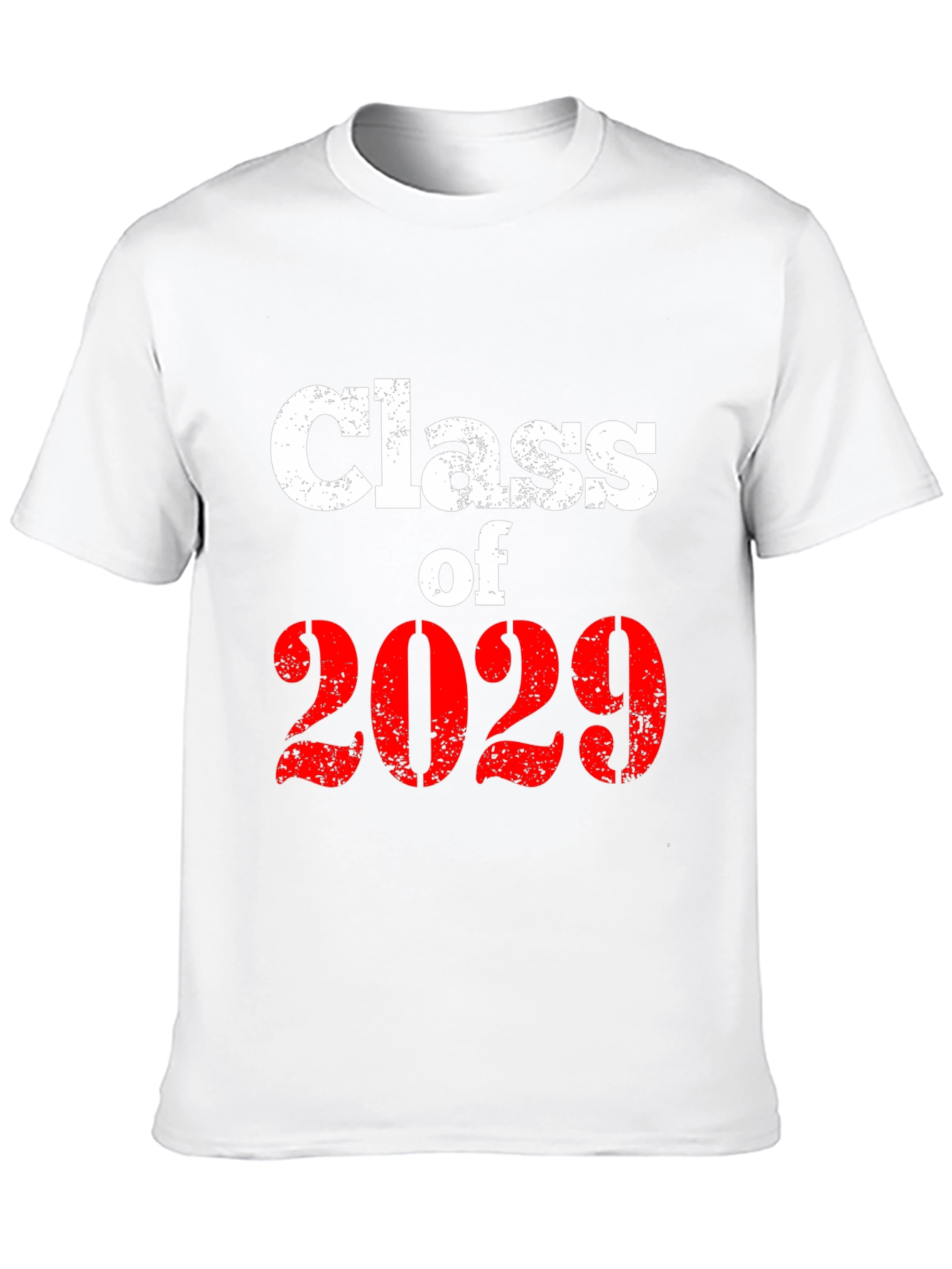Class of 2029 Graphic T-Shirt
