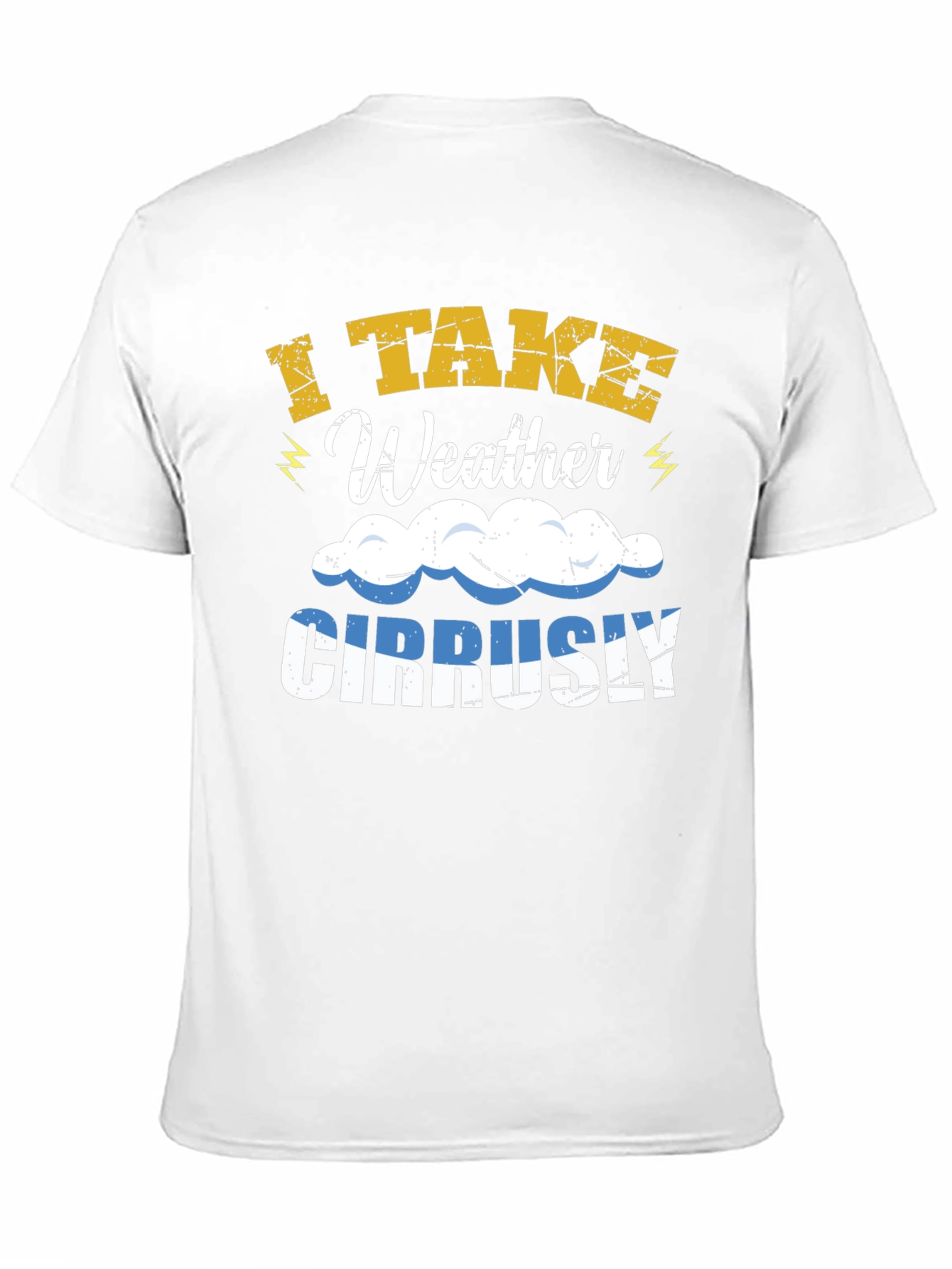 I Take Weather Cirrusly T-Shirt - Funny Weather Pun