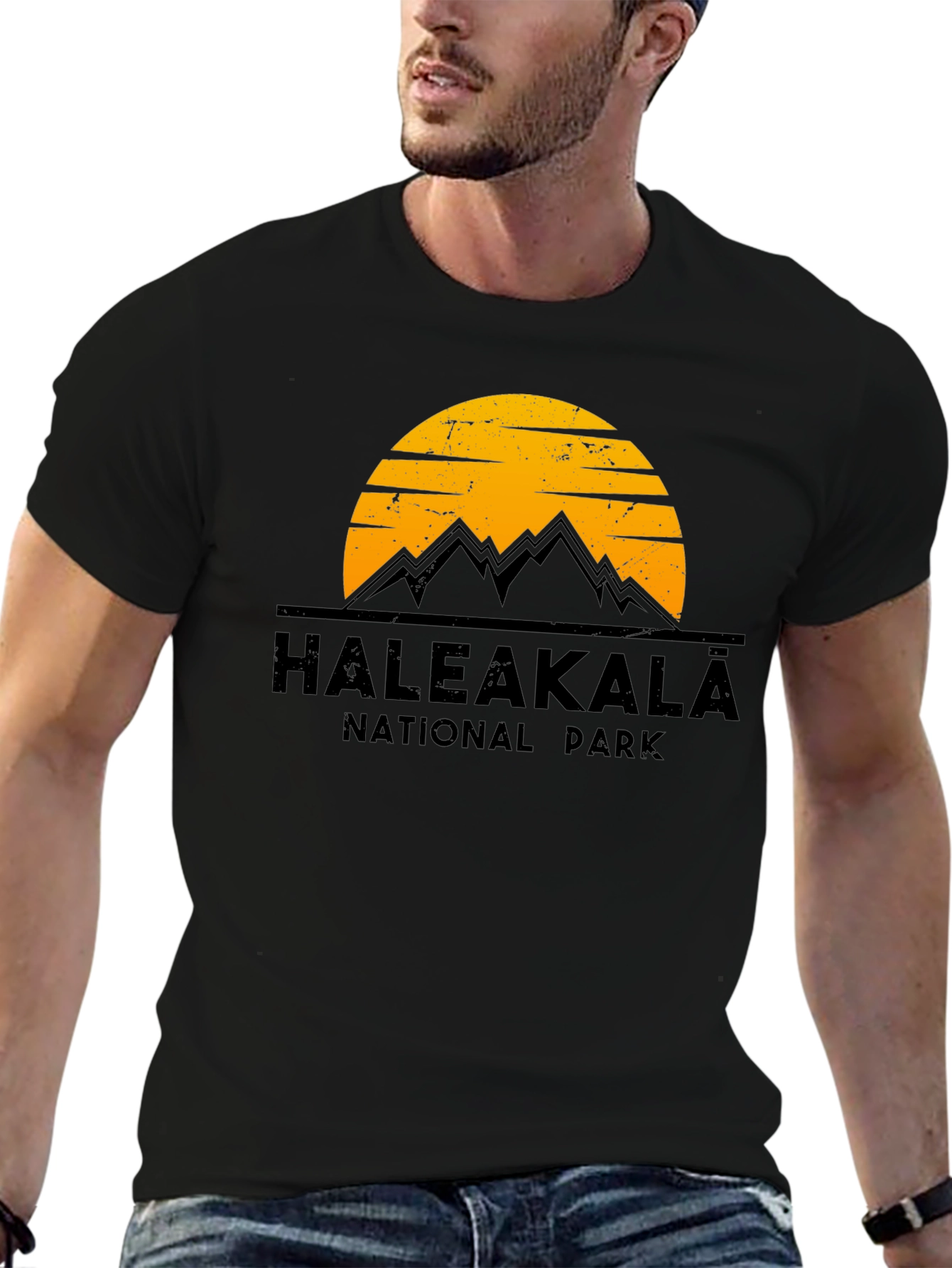 Haleakala National Park Graphic Tee - Black
