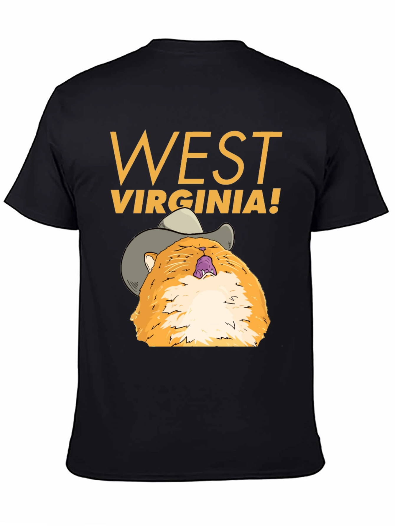 West Virginia Cat Cowboy Graphic Tee