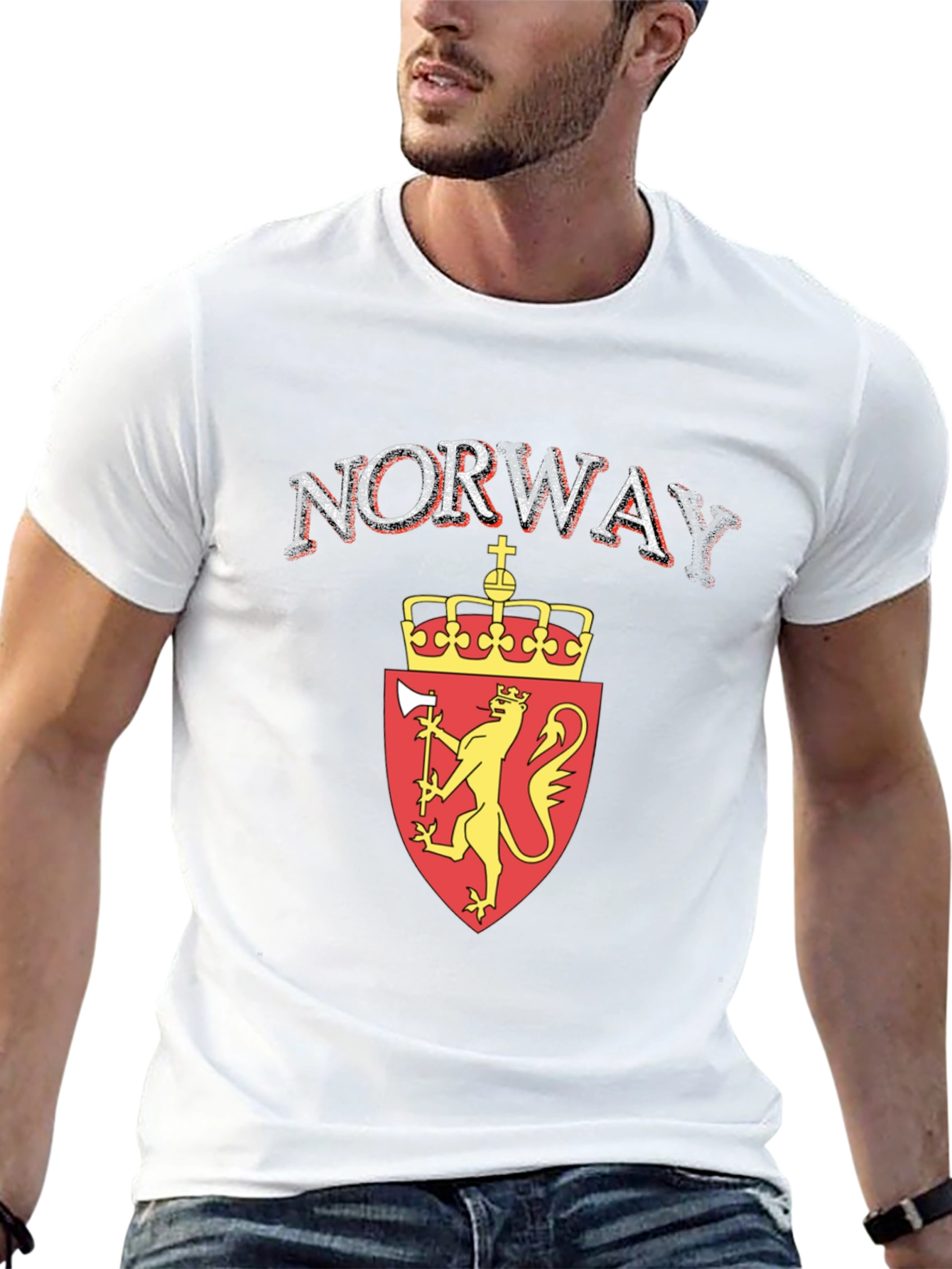 Norway Flag Lion T-Shirt - Black Graphic Tee