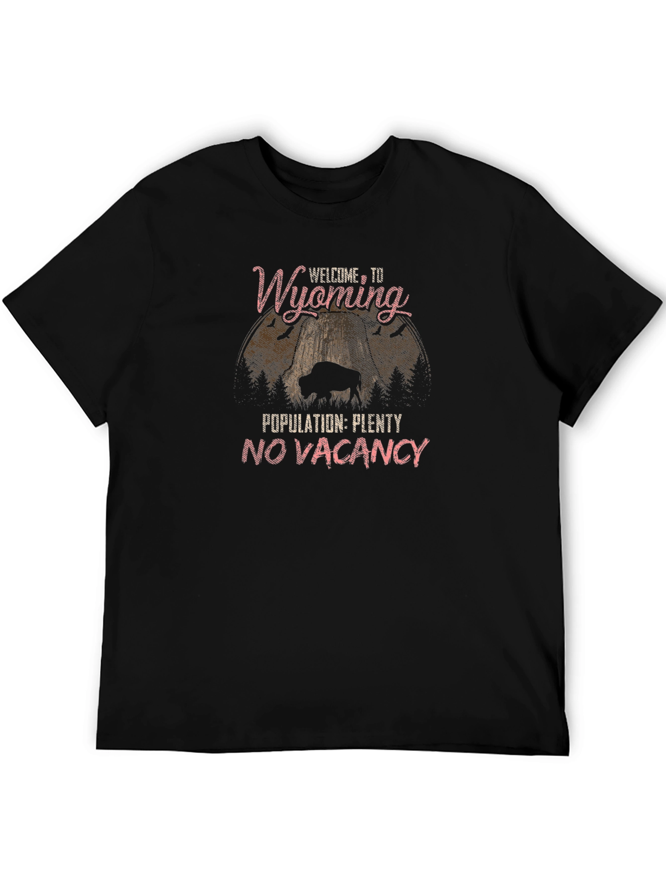 Wyoming T-Shirt: Welcome to Wyoming Population Plenty No Vacancy