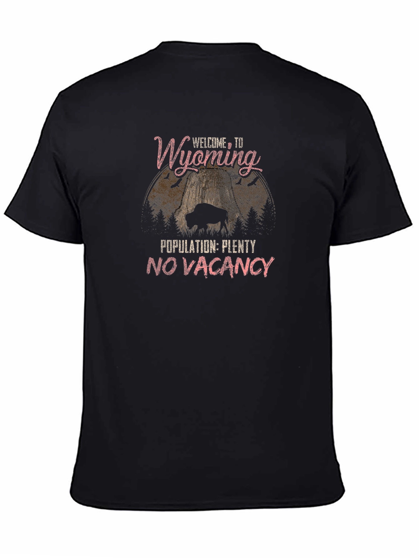 Wyoming T-Shirt: Welcome to Wyoming Population Plenty No Vacancy